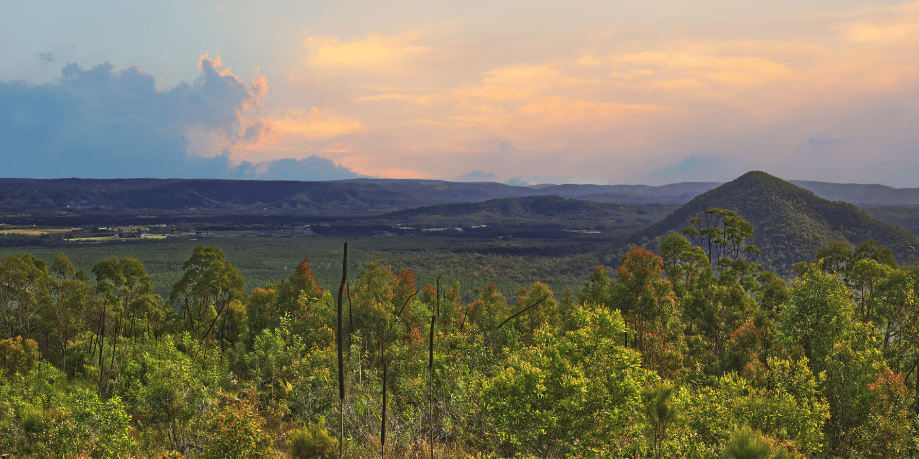 Embrace the Great Outdoors at Archer's Way D'Aguilar Woodford